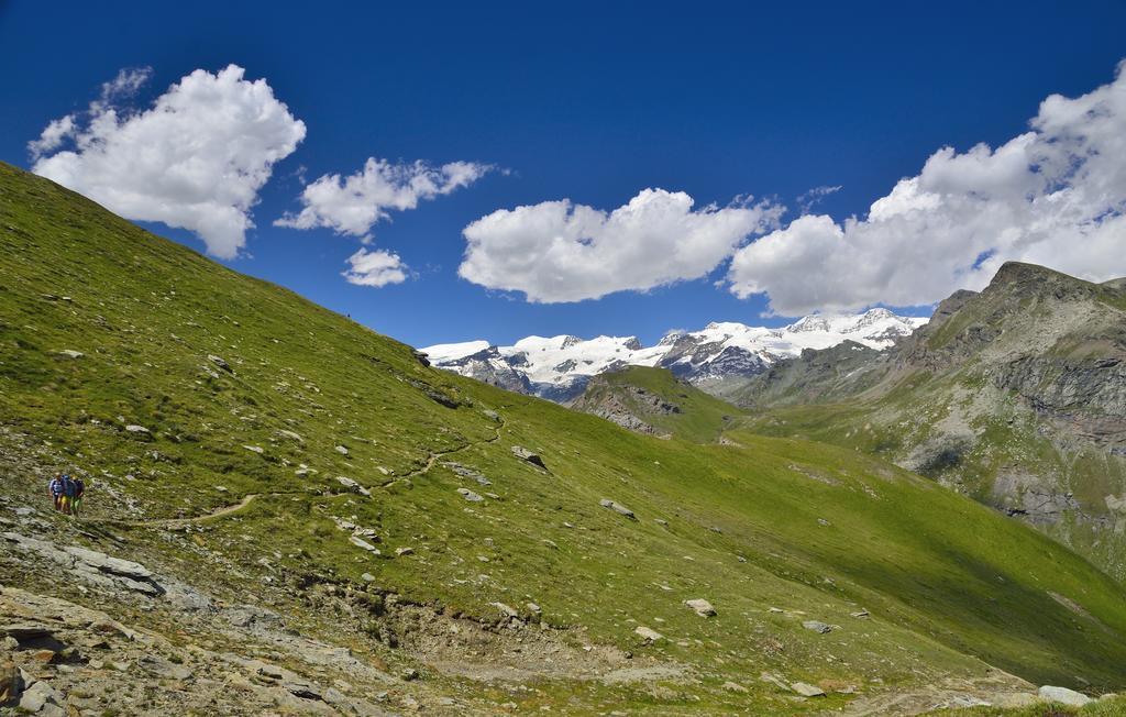 Le Coin Des Melezes - Nature & Trek - Camere In Baita Di Montagna Brusson Bagian luar foto