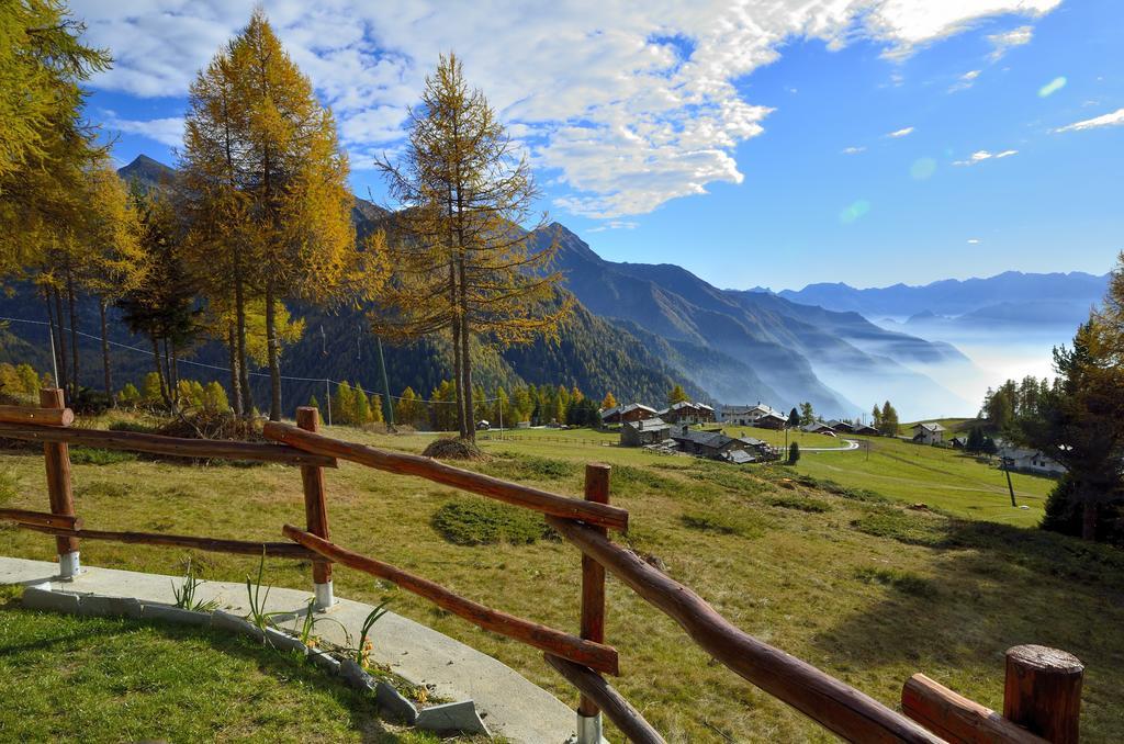 Le Coin Des Melezes - Nature & Trek - Camere In Baita Di Montagna Brusson Bagian luar foto