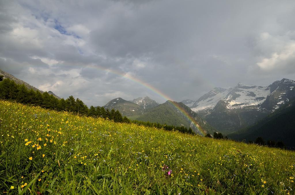 Le Coin Des Melezes - Nature & Trek - Camere In Baita Di Montagna Brusson Bagian luar foto