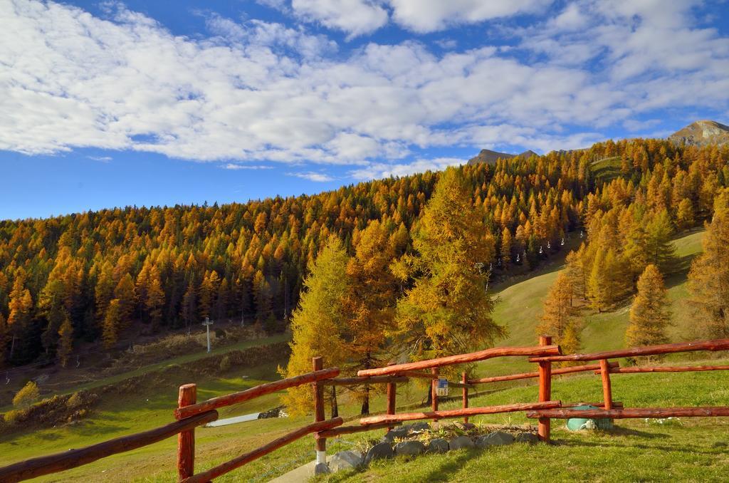 Le Coin Des Melezes - Nature & Trek - Camere In Baita Di Montagna Brusson Bagian luar foto