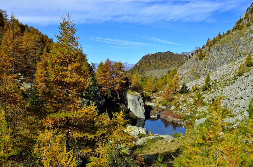Le Coin Des Melezes - Nature & Trek - Camere In Baita Di Montagna Brusson Bagian luar foto