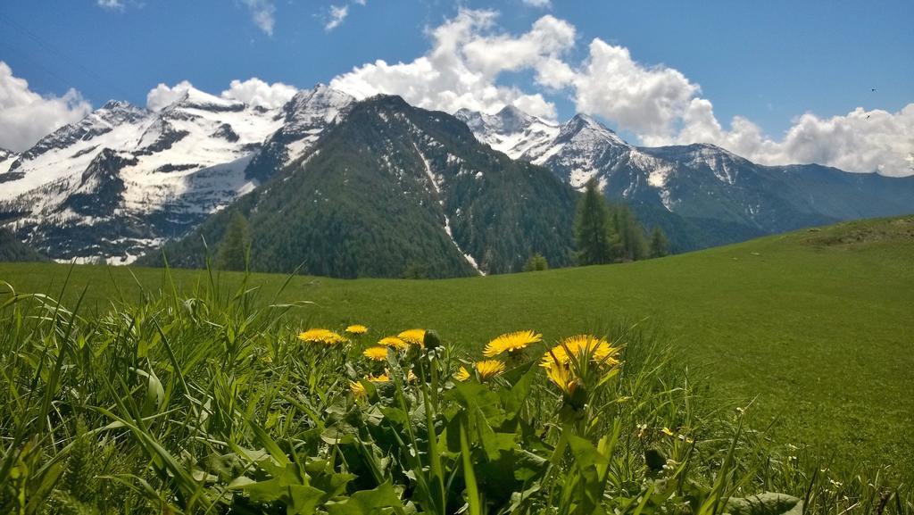 Le Coin Des Melezes - Nature & Trek - Camere In Baita Di Montagna Brusson Bagian luar foto